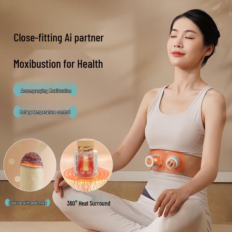 Hezheng Smart Lumbar Support Massager