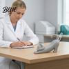 Держатель для ветеринарного термометра, 3D-печатный держатель, Подставка-основание с цифровым электронным дисплеем для кошки, собаки, Питомник для украшения стола