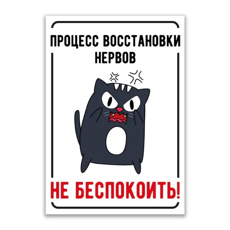 Предупреждение Злая Хозяйка Металлическая Табличка, INFO-MAG Табличка на Забор 20x30см