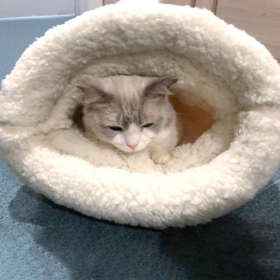 Спальный мешок для домашних животных, удобный мультяшный плюшевый домик для домашних животных, кровать, гнездо, товары для животных