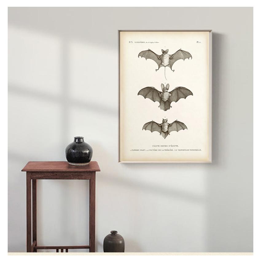 Художественная картина на холсте, антикварный постер с изображением летучей мыши, настенная картина для гостиной, украшения дома, винтажный принт с летучей мышью, стена на Хэллоуин
