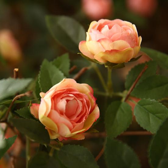 Имитация цветка, реалистичная роза, долговечный подвесной искусственный цветок из искусственного шелка, домашний свадебный декор