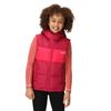 Regatta Childrens/Kids Lofthouse Heavyweight Body Warmer