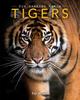 Книга Tigers Amazing Pictures Fun Facts On Animals In Nature by Kay De Silva - Paperback