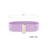 Solid Color Stretch Cinch Waistband Wide Waist Belt New Corset Belt  Down Coat