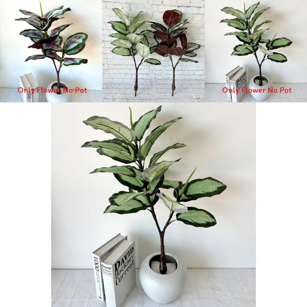 Ochrosia Maculata Jacq Tree Synthetic Greenery For Indoor Home Office Decoration And Photography