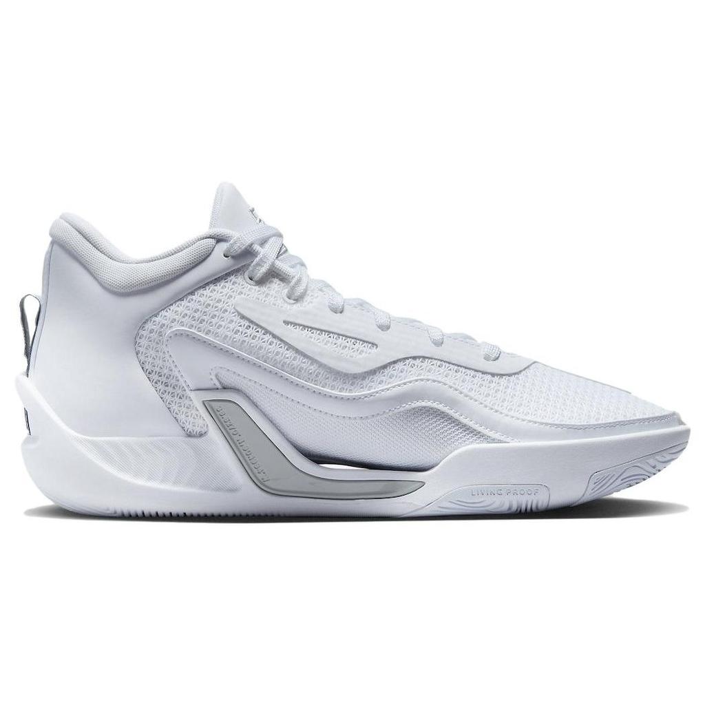 Air Jordan Tatum 1 PF Pure Money Унисекс Кроссовки Белый Серо-туманный FQ1304-100