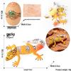 4D Stereo DIY Animal Model Kit: Eagle, Scorpion, Gecko, Rattlesnake, Spider, Lizard, Squirrel, Hedgehog