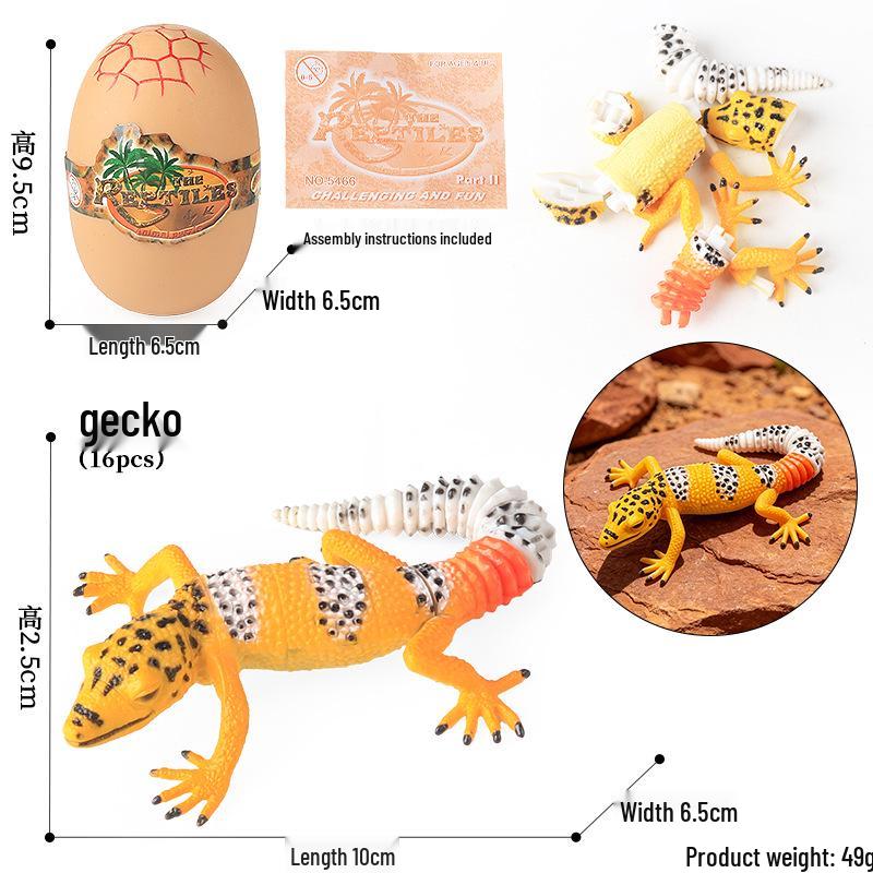 4D Stereo DIY Animal Model Kit: Eagle, Scorpion, Gecko, Rattlesnake, Spider, Lizard, Squirrel, Hedgehog