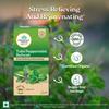 ORGANIC INDIA Чай Tulsi с мятой Освежающий, 25 пакетиков | Травяной чай для снятия стресса и омоложения