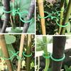 Garden Plant Clips Reusable Plant Support Ties Climbing Plants Clips Vine Support Clips for Indoor Outdoor Gardening