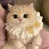 Lace Bowknot Pearl Collar Cat Dog Neckerchief Pet Cats Kitten Dog Puppy String Bib Necklace Necktie Neck Strap Scarf Accessories 1