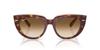 Солнцезащитные очки 0RB2286F LIGHT HAVANA ON MULTI 52 [Ray-Ban] ПРОЗРАЧНЫЕ.