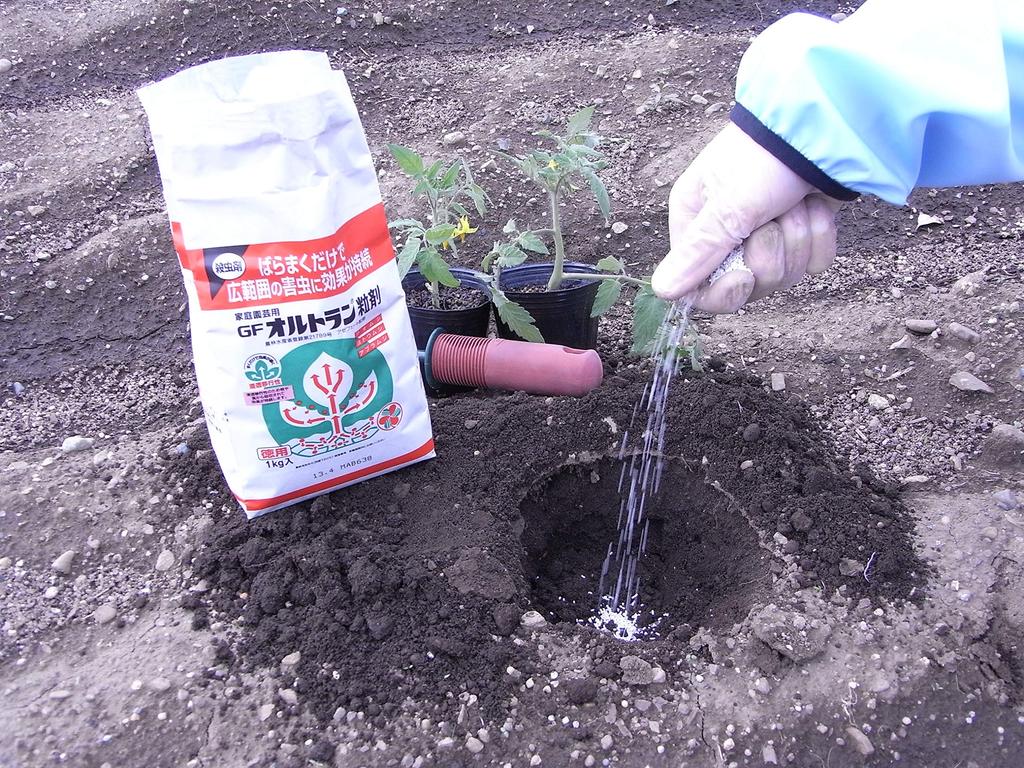 Sumitomo Chemical Gardening GF Ortran Granules Insecticide for Home for Aphids Gardening, 1.6kg, Systemic,