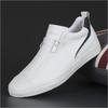 New Shoes Men's Shoes Fashion Shoes Autumn Double Zipper Casual Shoes Men's Board Shoes Versatile Trend