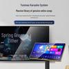 SANSUI SQ209 Home KTV Audio System CN plug (adapter included) (CN version)