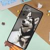 Siberian Husky Sled Dog Soft Case For Samsung Galaxy S24 Ultra S9 S10 S20 S22 S23 Plus S21 FE S25 Ultra Funda Cover