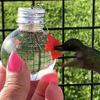 Pet Bird Feeder Outdoor Hanging Pet Food Dispenser Water Food Bird Feeder