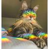 Rainbow Window Stickers, 18 Pcs Prism Window Cling for Windows Bird Deterrent, Sun Catcher Sticker (2 Sheets)