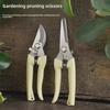Complete Garden Pruning Shears Set: Elbow Scissors, Fruit Picking Shears, and Spring Action Shears.