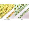 DIY Craft Wedding Dress Sewing Ribbons Fabric Trim Embroidered Flower Lace Trim Water soluble