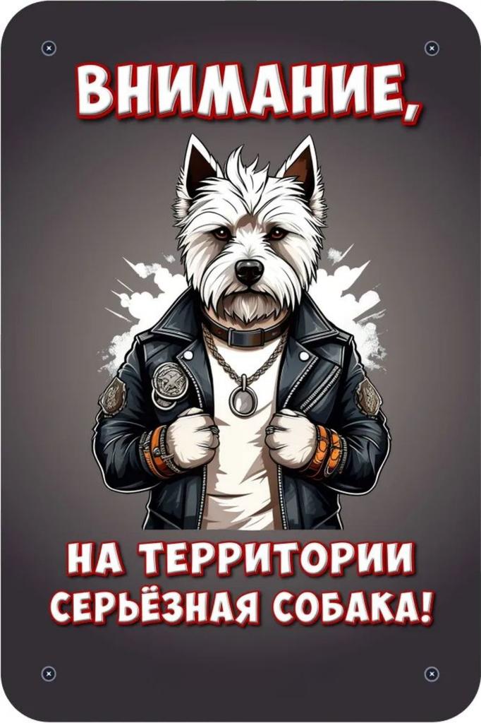 Металлическая табличка Осторожно Злая собака 30x20см Шпиц