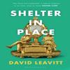 Shelter In Place by David Leavitt Paperback Book 9781408845950