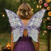 Gradient Sheer Butterfly Fairy Wings Sparkling Organza Elf Wings Costume  Christmas Gifts