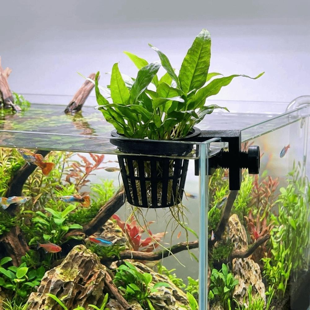 Top Hanging Fish Tank Greenery Holder Soilless Cultivation Hydroponic Planting Basket Planted Tank
