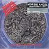 LP Запись MORBID ANGEL Altars Of Madness MOSH011FDRUS EARACHE Не Япония Рок