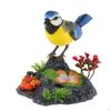 Singing Chirping Bird Toy Sounds & Movements Sound Activated