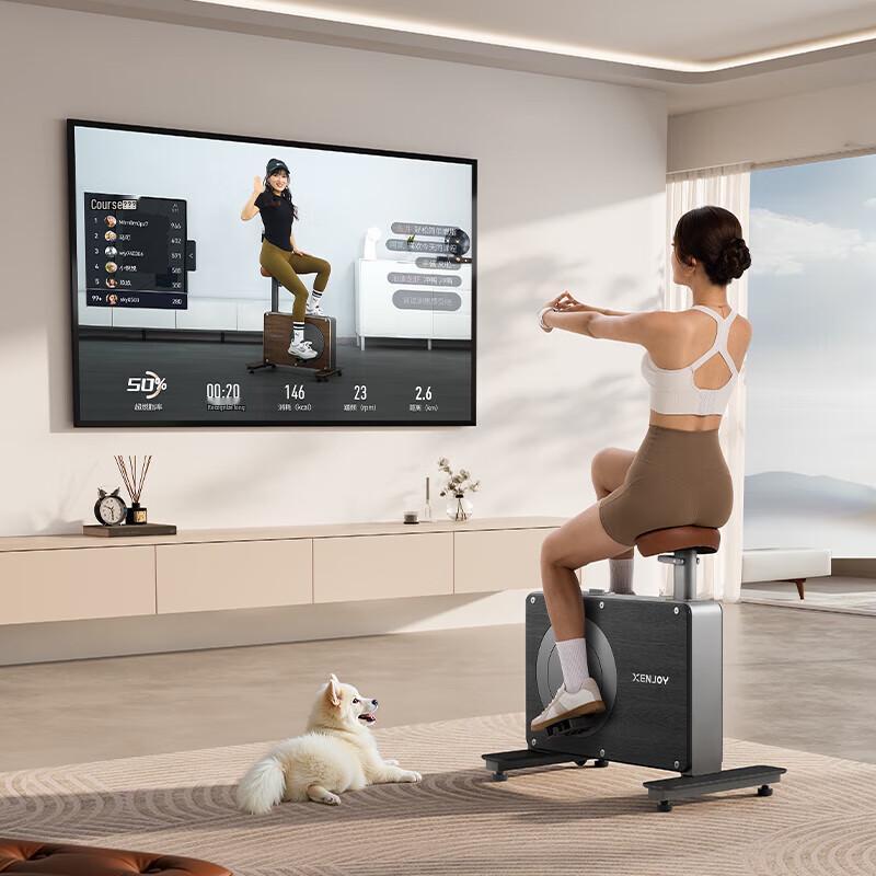 MERACH Shadow Exercise Bike CN plug (adapter included)