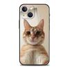 Милый чехол-котик с сердцем для iPhone 17 16 15 Pro Max 11 12 13 14 7 8 Plus SE 2020 X XR XS, мягкий, черный