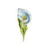 Simple Enamel Color Calla Lily Brooch High-End Female Personality Corsage Niche High-End Design Pin Accessories