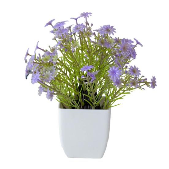 Красивые растения в горшках, не требующие полива, создают романтическую атмосферу