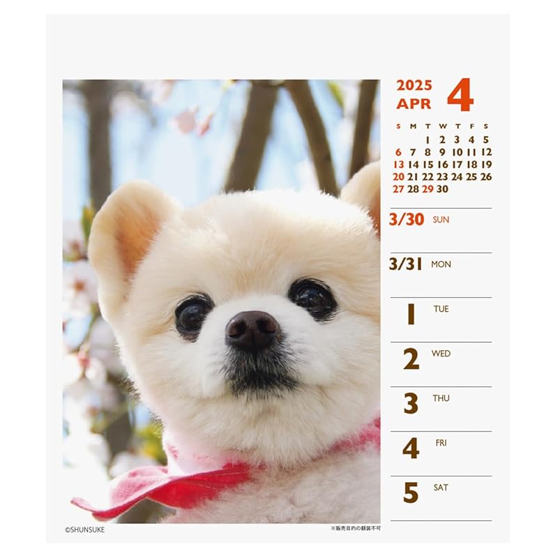 2025 Шунсукэ (еженедельный мини) календарь №044