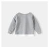 Boys' Spring Two-Piece Outfit: Hoodie and Long Pants Set for Kids