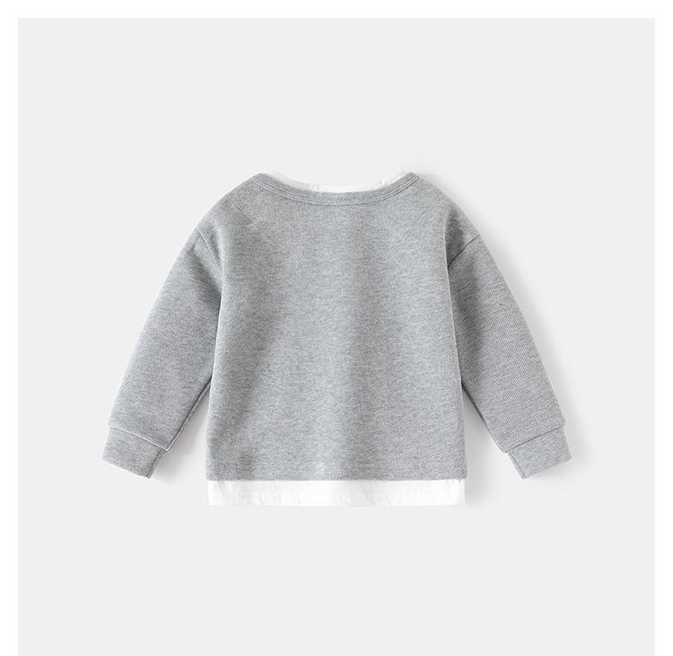 Boys' Spring Two-Piece Outfit: Hoodie and Long Pants Set for Kids