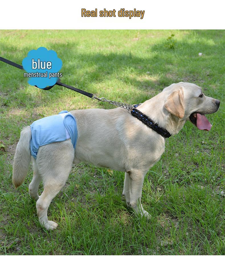 Pet Dog Clothes: Velcro Anti-Harassment Pants for Small To Large Breeds (Teddy, Golden Retriever, Labrador) for Menstrual and Physiological Needs.