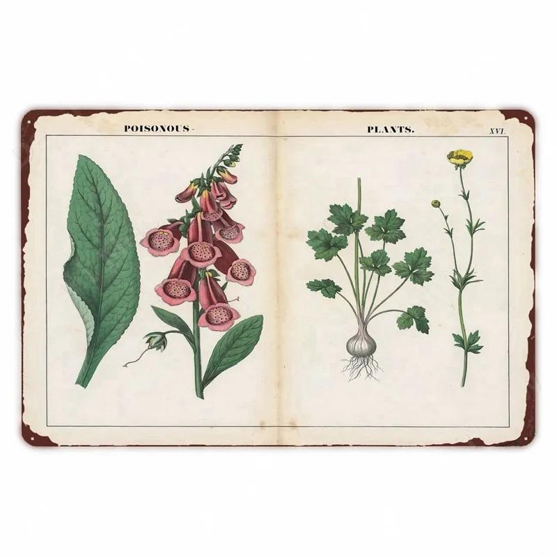 Ретро плакат с овощами и растениями, винтажный металлический жестяной знак с фруктами, настенная вывеска с цветной капустой, садовая кухонная ферма, цветы, тарелка, декор