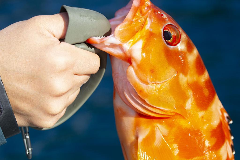 Daiichi Seiko Jaw Grip MC Foliage Green