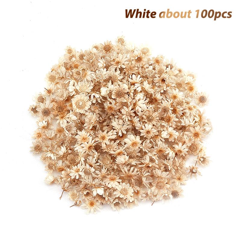 200шт сухоцветы для Diy эпоксидной смолы свечи изготовления ювелирных изделий стеклянный наполнитель