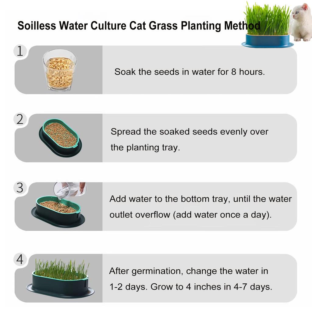 Cat Grass Planter Hydroponic Cat Grass Growing Kit No Seeds Included Catnip Wheatgrass Seed Sprout Tray Nursery Plant Planting Box for Indoor Cats