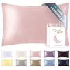 22MM Natural Mulberry Silk Pillowcase with Hidden Zipper Lenzing Tencel Back 1 Pack