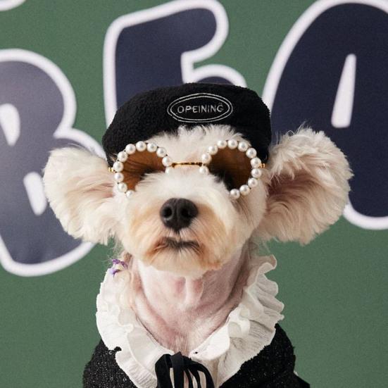 Шапка для щенка с шнурком, сохраняющая тепло, фланелевый регулируемый берет, головной убор для ежедневного ношения собаки