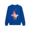 Мужской свитшот Polo с принтом, круглым вырезом, MNPOKNI16821864-401