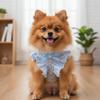 Adjustable Dog Harness and Leash Breathable Cat Harness Vest No Pull Pet Walking Rope  Pet Supplies