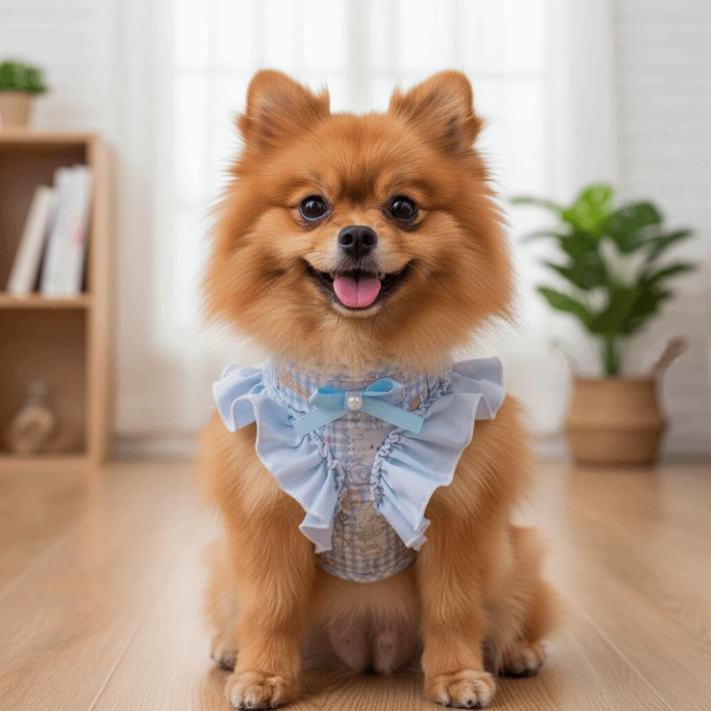 Adjustable Dog Harness and Leash Breathable Cat Harness Vest No Pull Pet Walking Rope  Pet Supplies
