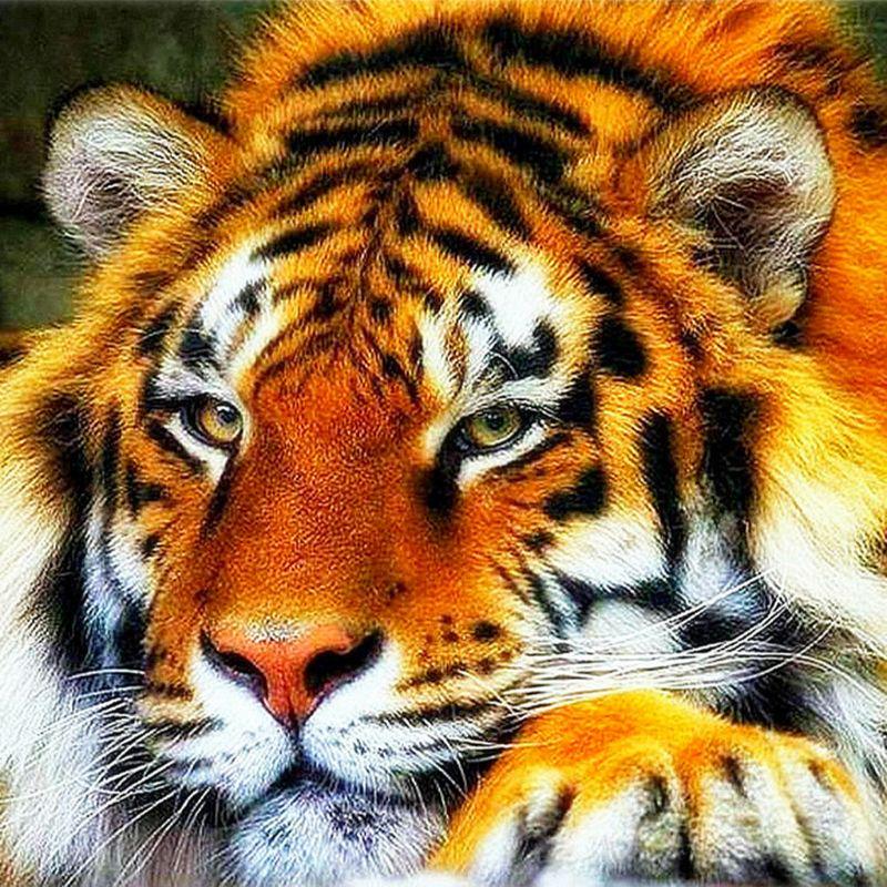 Наборы алмазной вышивки 5D