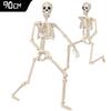 Реалистичный Подвесной Скелет во Весь Рост с Подвижными Суставами Реквизит для Хэллоуина, Дома с Привидениями, Ужасное Украшение Черепа